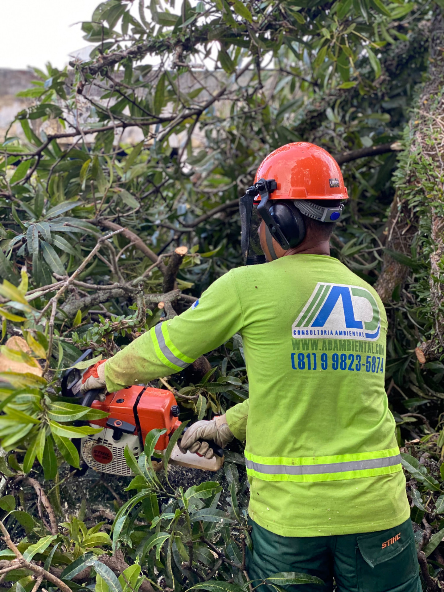 Operador da AD Consultoria Ambiental em campo: serviço ambiental conduzido em conformidade com a legislação ambiental
