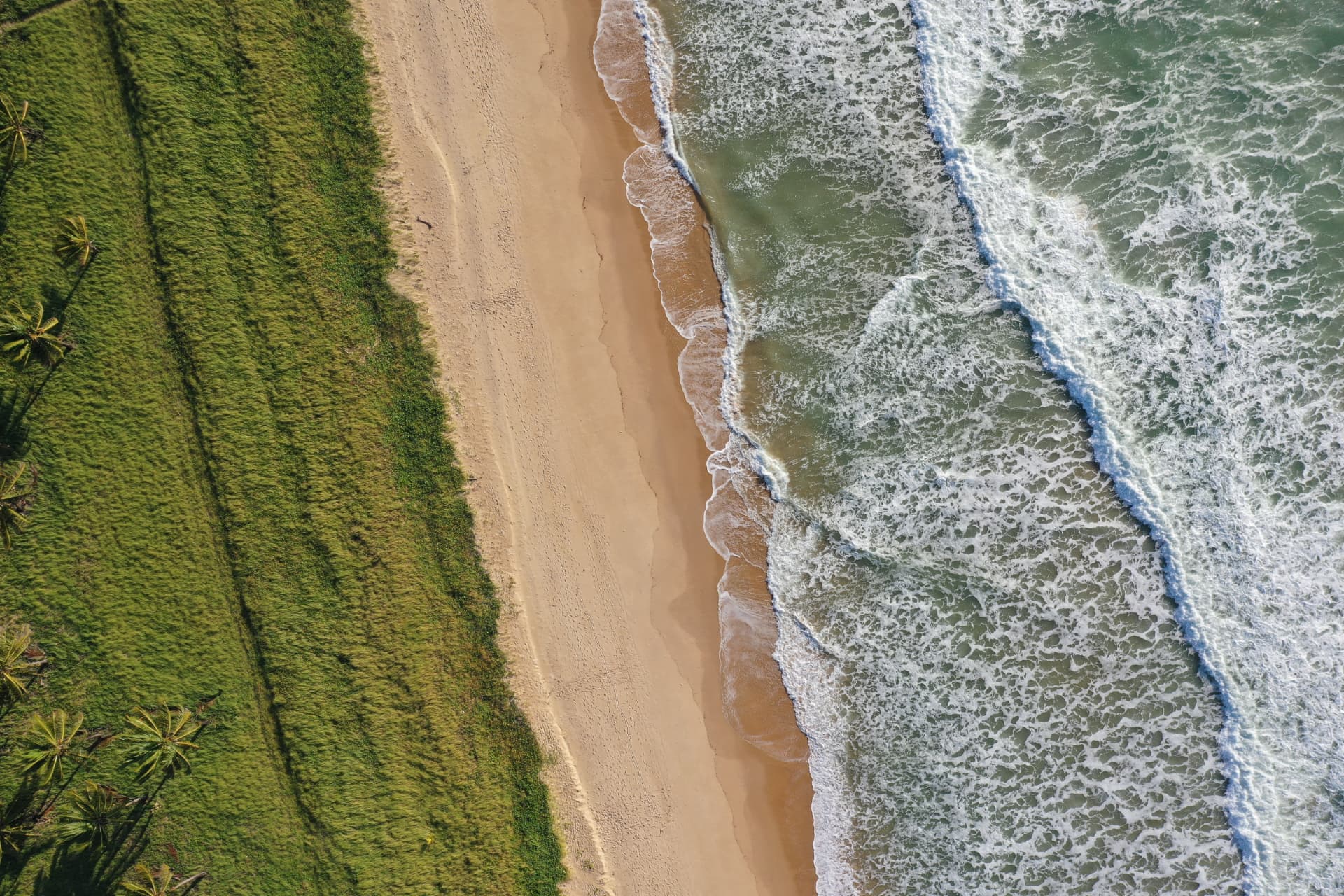 Vista aérea vertical de faixa de praia, vegetação e arrebentação