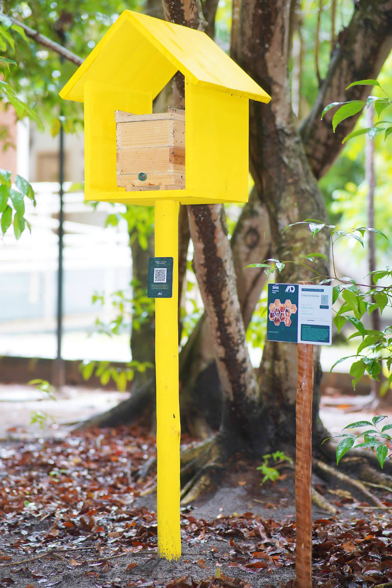 Meliponário amarelo com placa interpretativa e QR code na Trilha do Mel