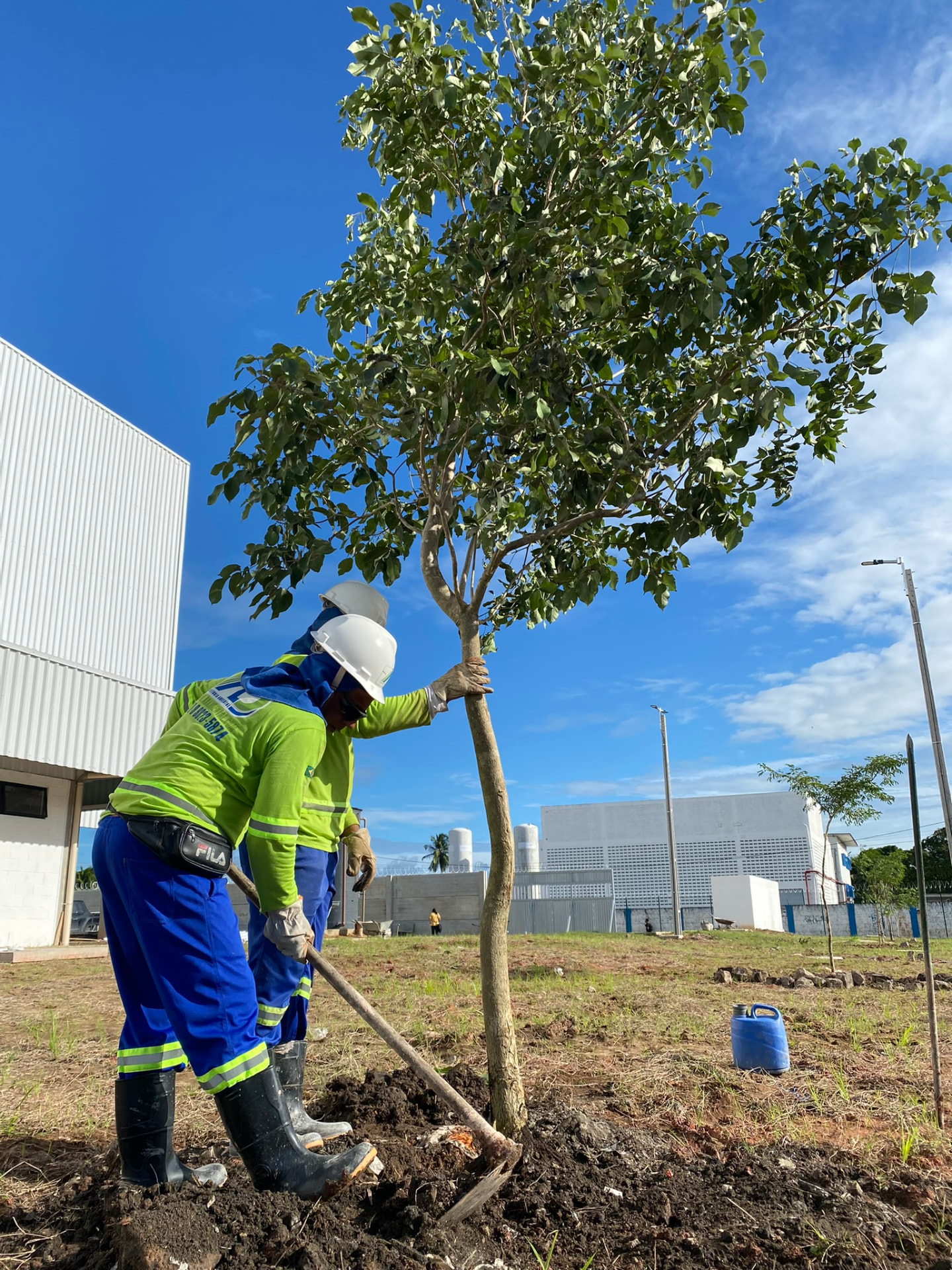 Equipe da AD Consultoria Ambiental executando plantio de árvore em área de empreendimento