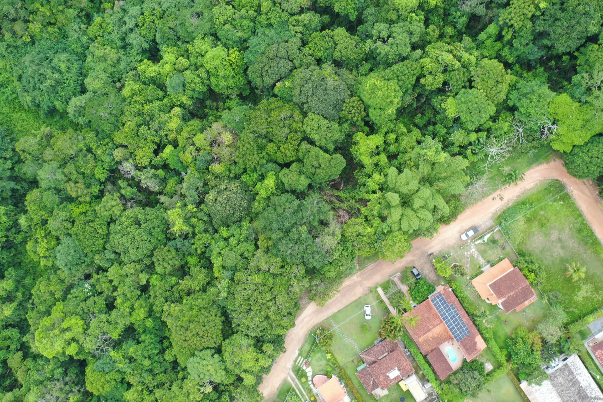 Vista aérea vertical de fragmento florestal no limite com ocupação urbana