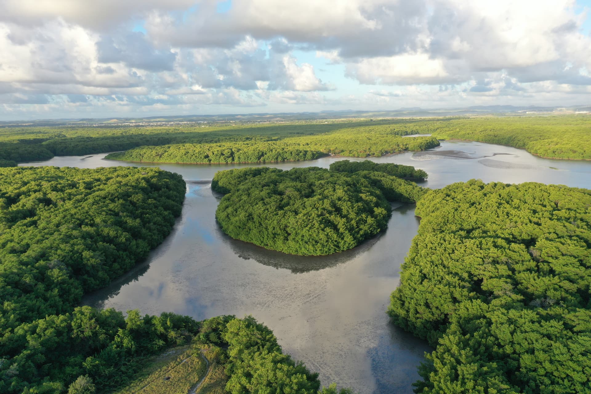 Vista aérea panorâmica de estuário com ilhas de mangue