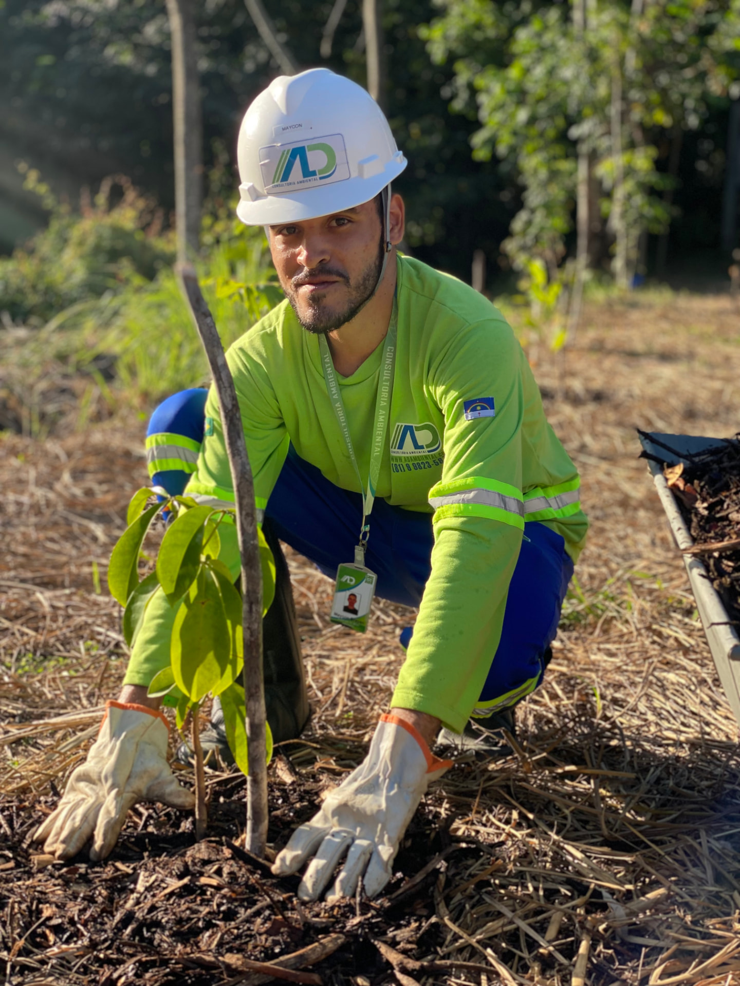 Técnico da AD Consultoria Ambiental plantando muda nativa em área de restauração
