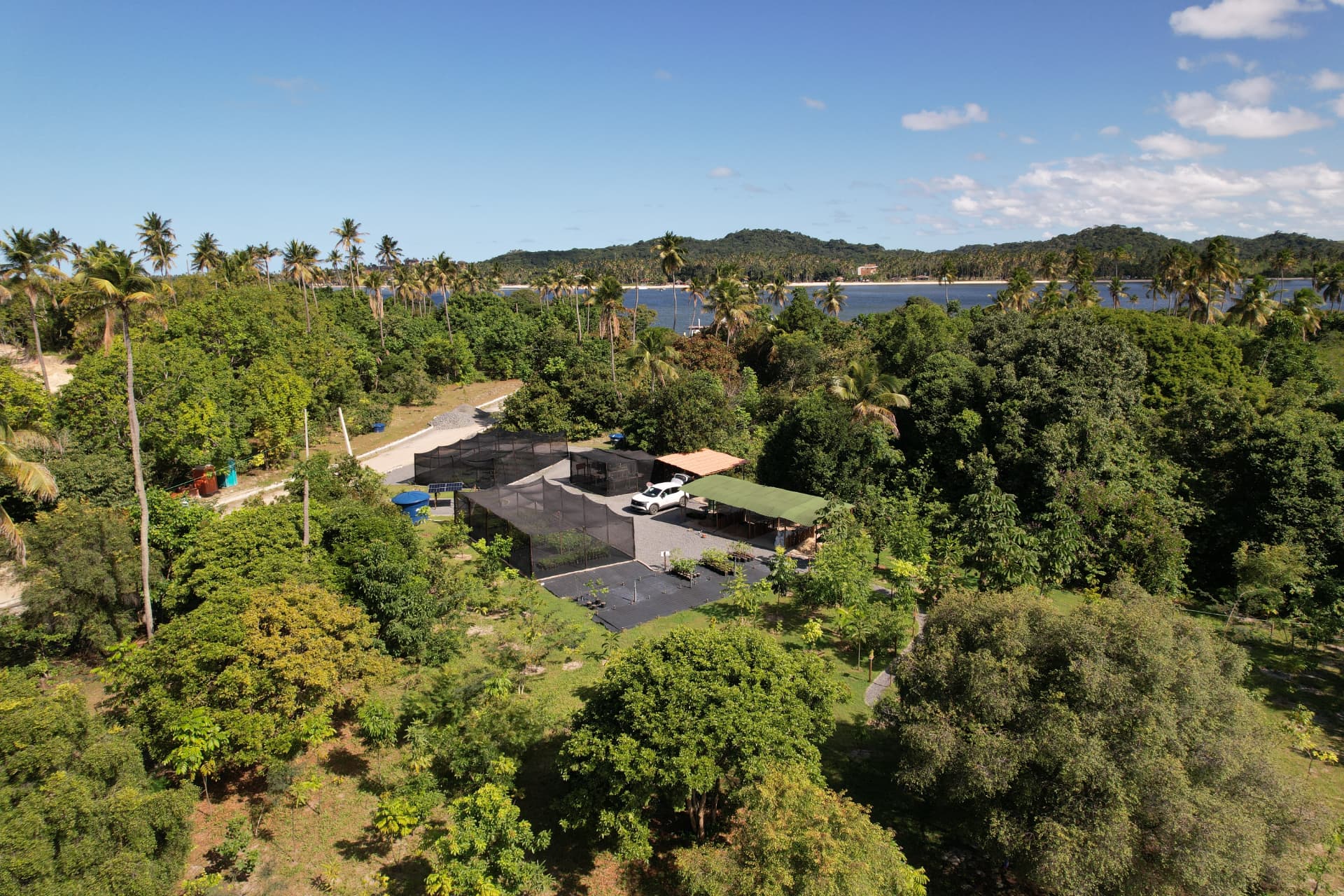 Viveiro florestal implantado em empreendimento no litoral sul de Pernambuco, com estuário ao fundo