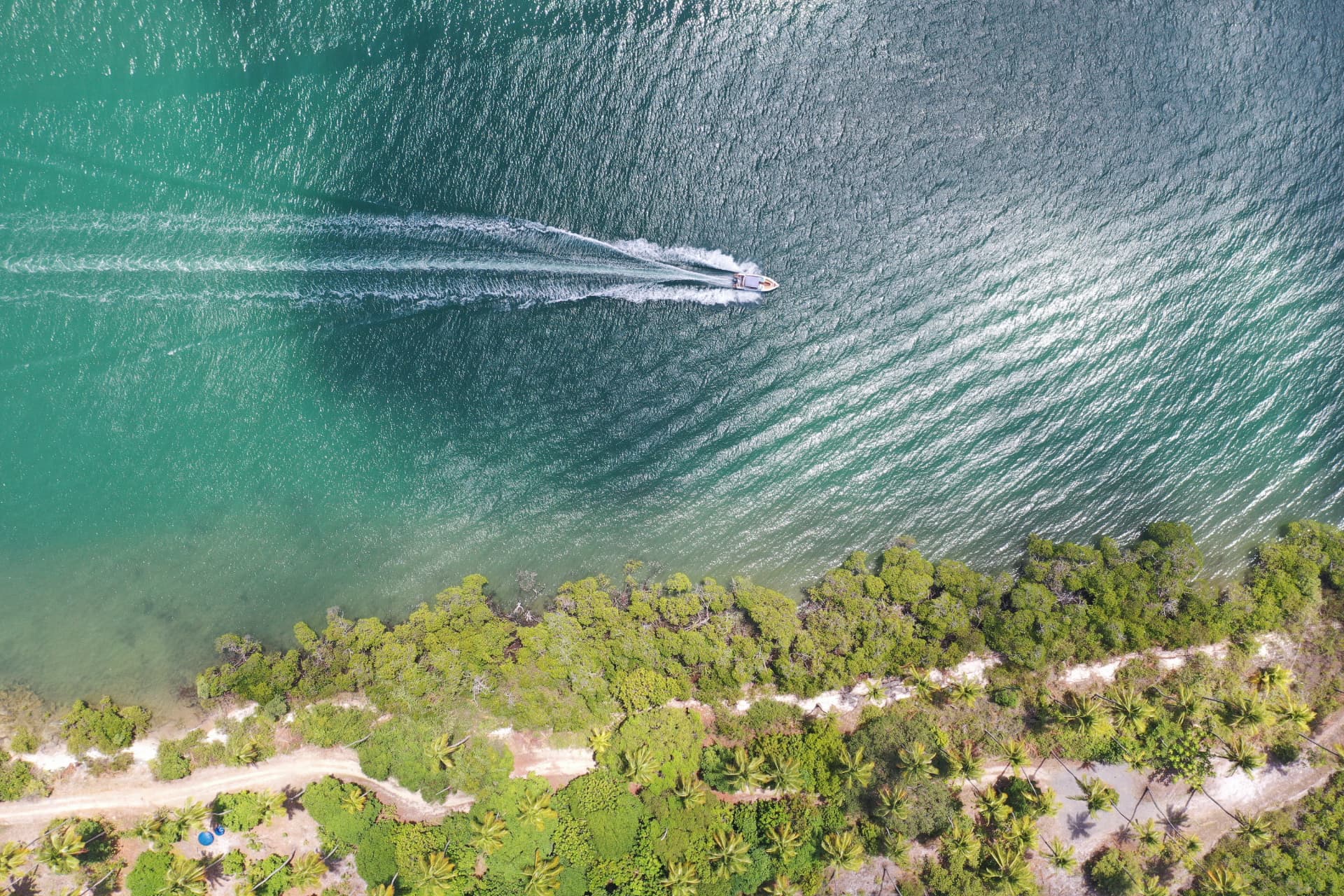 Vista aérea de embarcação em área estuarina com vegetação de mangue